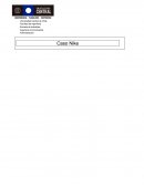 Resumen ejecutivo Caso Nike