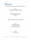 Análisis Peste e Implicaciones en la Empresa PETROBRAS