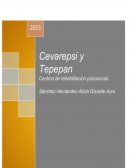 Cevarepsi, Centro Varonil de Rehabilitación psicosocial