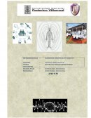 Bioelectromagnetismo