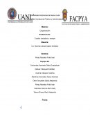 Cuadro sinóptico de cultura organizacional, de la cultura organizacional