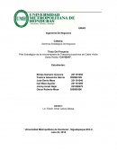 Plan Estratégico de la microempresa de Telecomunicaciones de Cable Visión Santa Rosita “CAVISAR”