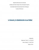Como son los Recursos materiales y financieros