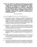 ENSAYO SOBRE EL NUEVO CONTRATO DE PRESTACIÓN DE SERVICIOS