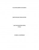 Taller reglamento ¿Qué son las ULAS?