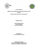 Plan de mercado produccion de kefir