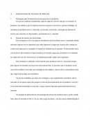 ESTRATEGIAS DE FIJACION DE PRECIOS.