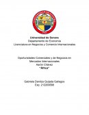 Oportunidades del continente africano