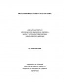 Ciltivo bacterias