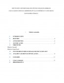 Revisoria fiscal,La globalización como un proceso envolvente