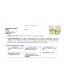 Que los niños y niñas cumplan responsabilidades en el aula, organizándose por equipos.