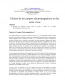 Cual es el Efecto campos