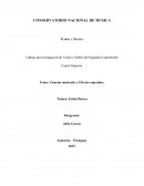 La Musicologia y Efectos Especiales del bajo electrico