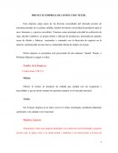 EL GRAN PROYECTO EMPRESA DE CONFECCION TEXTIL