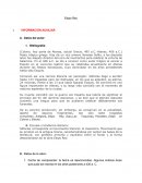 INFORMACIÓN AUXILIAR