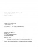 INVESTIGACIÓN DE MERCADO PARA LA EMPRESA IZZI TELECOM, S.A.B. DE C.V