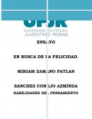 Ensayo sobre la película en busca de la felicidad
