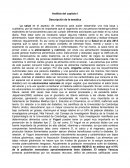 La salud - aspecto de relevancia para poder desarrollar una vida larga y cualitativa