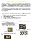EL FENÓMENO DE LA HIBERNACIÓN