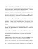 Tema de ¿Qué es la ONU?