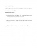 CUALES SON LOS MEGAPROYECTOS VS TERRITORIOS INDIGENAS