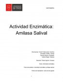 Amilasa salival práctico
