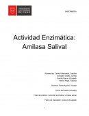 Actividad enzimática: Amilasa salival