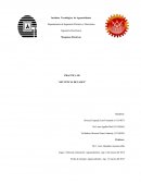 Maquinas Eléctricas PRACTICA