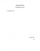 Trabajo práctico de economía política