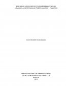 ANALISIS DE CASOS ESPECIFICOS DE EMPRESAS DONDE SE VISUALICE LA IMPORTANCIA DE POSEER VALORES Y PRINCIPIOS