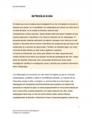 El vicio de los videojuegos