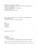 EVALUACIÓN A LA TUBERÍA DE 20” EN EL TRAMO 14-15 POR MEDIO DE UNA PRUEBA HIDROSTÁTICA