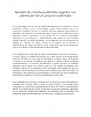 Los Ejemplos de carácter publicitario negativo a la prevención de un consumo sustentable