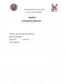 Español Actividad de Aplicacion