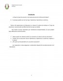 Osmosis en celula vegetal