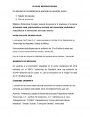 PLAN DE MERCADOTECNIA.