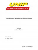 REPORTE: CONTABILIDAD EN EMERGÍA DE UNA AUDITORÍA ENERGÍA