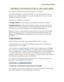 Enzimas y su funcionamiento