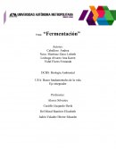 Tema: “Fermentación”
