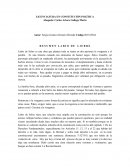 R E S U M E N L A B I O D E L I E B R E