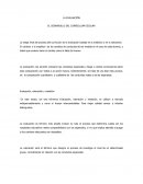 EL DESARROLLO DEL CURRÍCULUM ESCOLAR