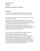 Búsquedas y utilerías en internet.