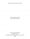 ATENCION INTEGRAL AL ADOLENCENTE Y AL ADULTO MAYOR