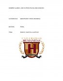 Ensayo ¿Qué es la justicia?