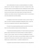 Analisis de la pelicula Septimo Dia