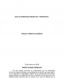 Química - GUIA DE EJERCICIOS RESUELTOS Y PROPUESTOS