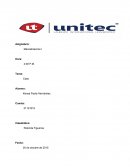 ¿De qué modo posicionó la compañía la ratonera para el mercado meta elegido?