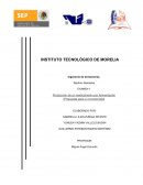 Los tipos de antibioticos