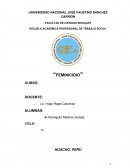 FEMINICIDIO MONOGRAFÍA