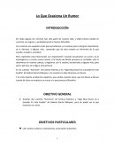 Lo Que Ocasiona Un Rumor